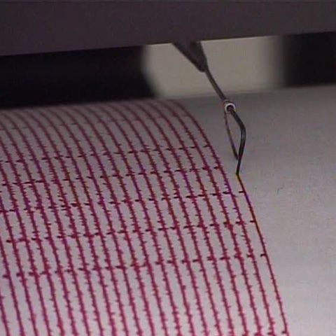 Cutremur de 3,6 grade pe scara Richter în zona Vrancea