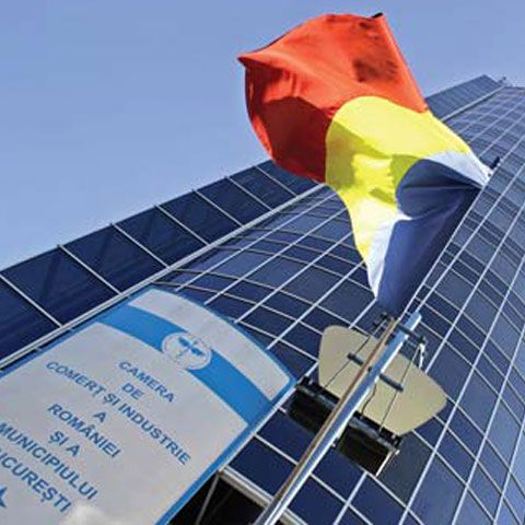 Firmele îşi pot actualiza gratuit obiectul de activitate până în martie 2010