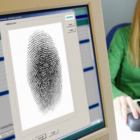 Paşapoartele biometrice s-au întos miercuri în plenul Senatului