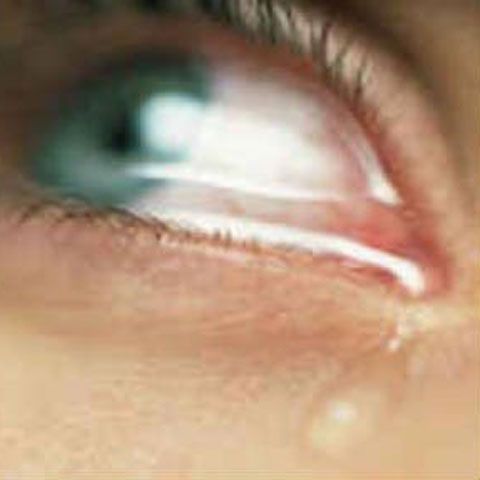 Un timişorean a izbucnit în lacrimi după ce a fost prins în flagrant de poliţie