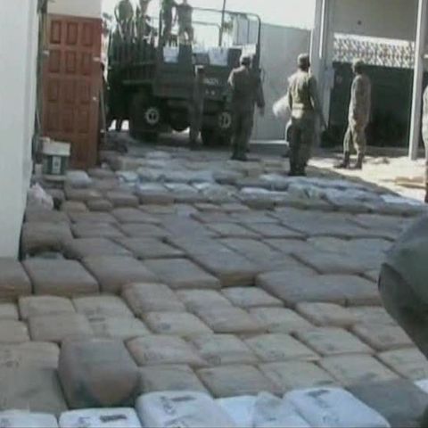 Militarii mexicani au descoperit 9,5 tone de marijuana 