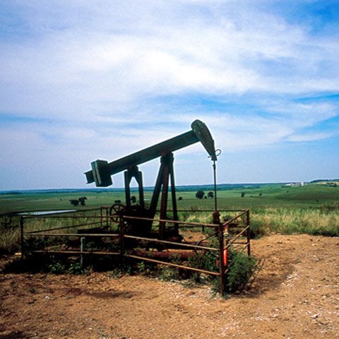 Jandarmii au prins patru angajaţi Petrom în timp ce furau combustibil