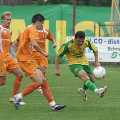 Liga I: etapa 19 - FC Vaslui-Poli Iaşi 2-0