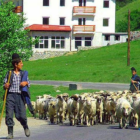 Poliţiştii italieni trimişi la Bucureşti caută cinci ciobani romi, în dosarul violării unei adolescente la Roma