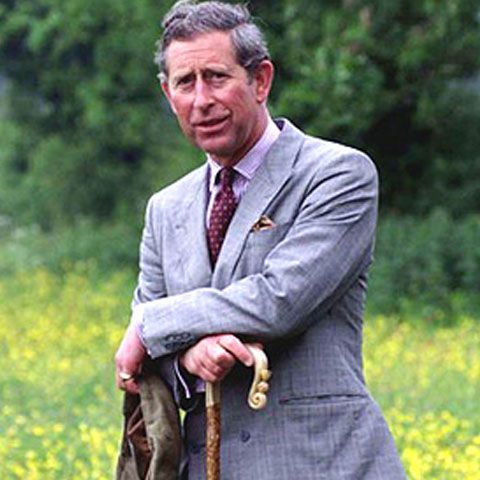 Scrisorile de dragoste ale prinţului Charles, vândute pe eBay