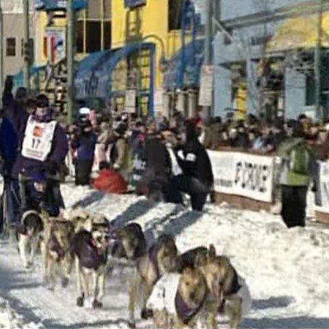 În Alaska s-a desfăşurat Iditarod, cursa săniilor trase de câini 