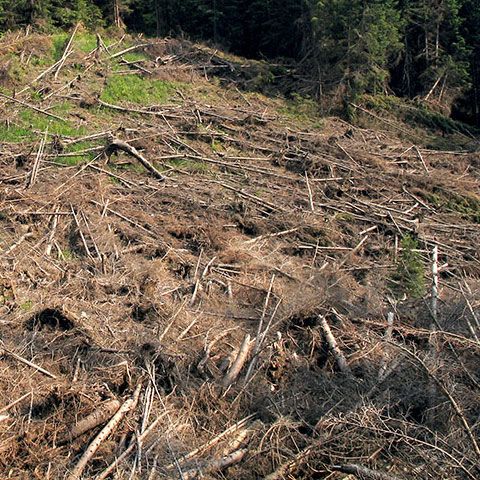 Mai multe alunecări de teren s-au înregistrat în Dâmboviţa, din cauza precipitaţiilor abundente