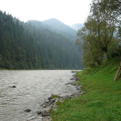 Poluare accidentală cu amoniac pe râul Bistriţa, în judeţul Neamţ