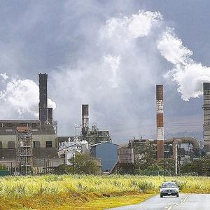 Greenpeace solicită Guvernului României oprirea proiectului reactoarelor 3 şi 4 de la Cernavodă 