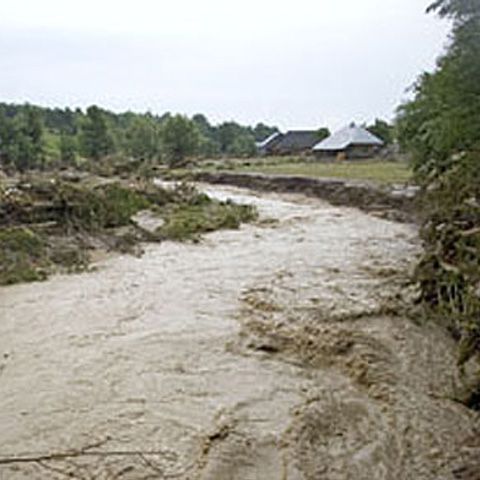 Apele Dunării au inundat sute de hectare de teren în Mehedinţi