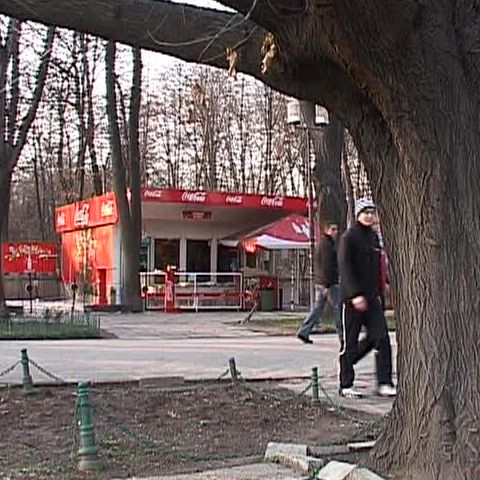 Senatorii au respins cererea de a nu mai construi în parcuri 