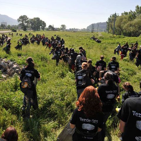 Campania "România prinde rădăcini" se reia în acest weekend. Ajutaţi-ne să plantăm în Ialomiţa!