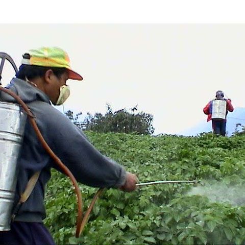 Un nou gaz cu efect de seră, de 4.800 ori mai puternic decât CO2