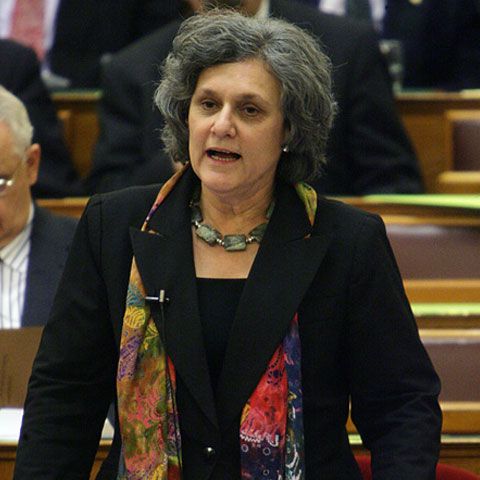 MAE ungar susţine că interzicerea aterizării aeronavei lui Solyom a fost un gest "neprietenos"