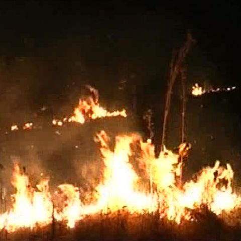 30 de hectare de vegetaţie uscată au ars în judeţul Mehedinţi 