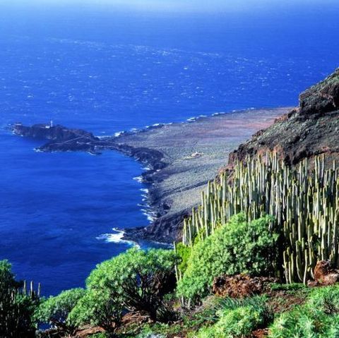 Târgul de Turism al României s-a deschis, joi, la Romexpo 