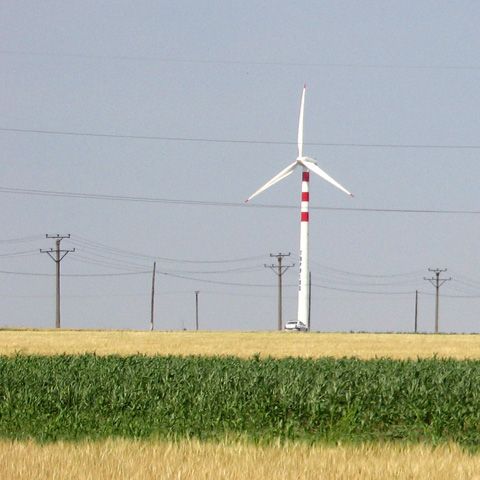 Un parc eolian de 80 MW, investiţie de 130 milioane euro, va fi pus în funcţiune lângă Râmnicu Sărat