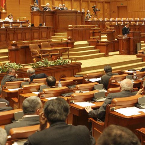 PNL şi UDMR au părăsit marţi şedinţa de plen din cauza conflictelor cu lideri ai Coaliţiei PSD-PD-L 