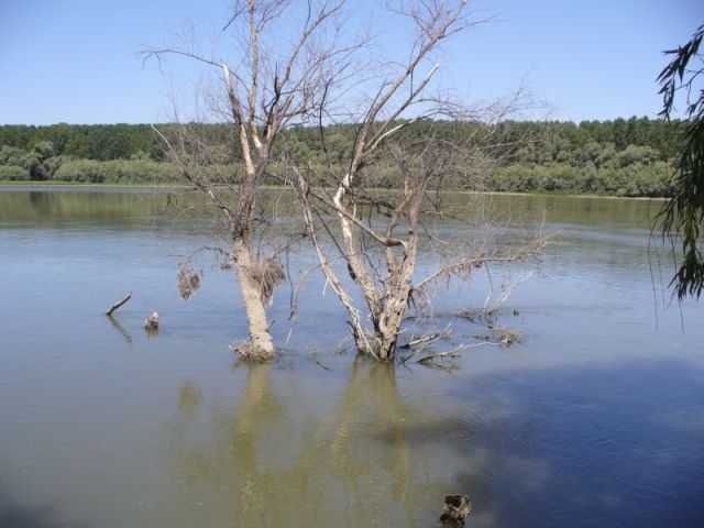 Concurs REALITATEA.NET: Vacanţă cu peripeţii în Delta Dunării