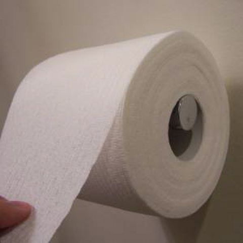 Bob Dylan, reclamat pentru o toaletă mobilă care ar polua atmosfera