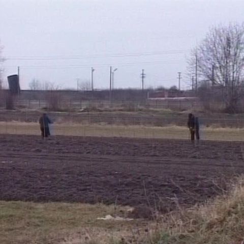 Programul rentei viagere este avizat de C.E. până la finele lui 2009 