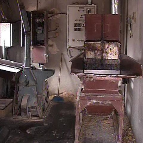 Ţăranii nu mai au bani să-şi crească animalele, din cauza crizei financiare 