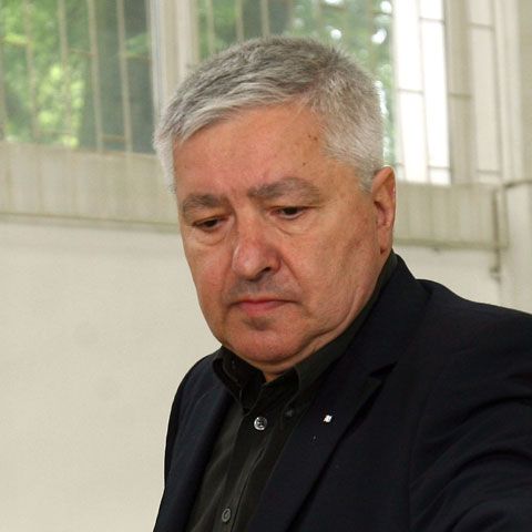 Şerban Mihăilescu: Nehotărârea Comisiei Juridice înseamnă respingerea cererii DNA