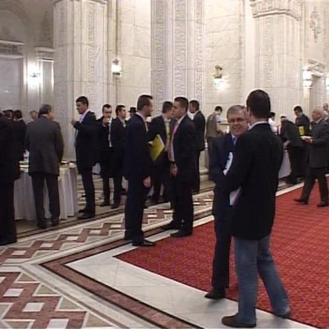 Congresul PNL a votat noul Statut, care înfiinţează funcţia de prim-vicepreşedinte