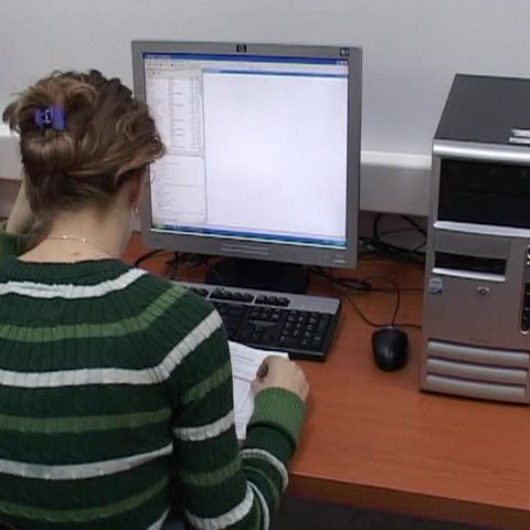 900 de timişoreni vor fi licenţiaţi în domeniul informaticii 