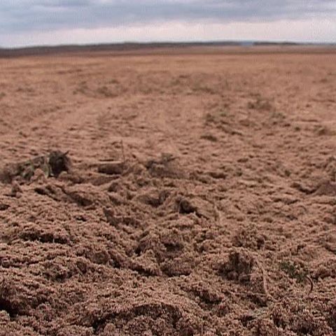 Sahara Olteniei are peste 100.000 de hectare de teren arid 