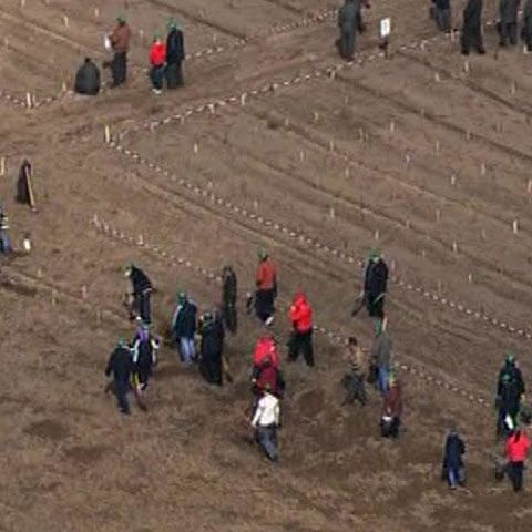  Elevi ai Colegiului Tehnic de Arte şi Meserii Craiova au participat la campania România prinde rădăcini