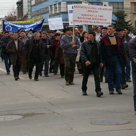 FMI către sindicalişti: Sporurile nu trebuie să reprezinte mai mult de 25% din salariu