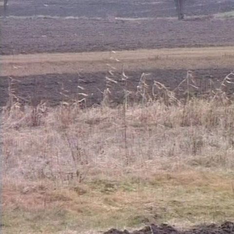 Ţăranii din Bistriţa-Năsăud nu au reuşit să îşi semene grădinile