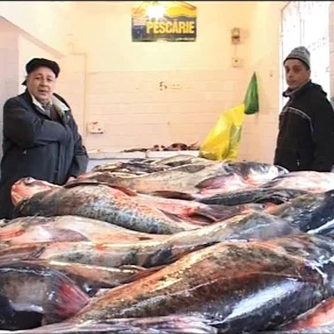 Vânzările au scăzut drastic faţă de anul trecut, în pescăriile din Brăila 