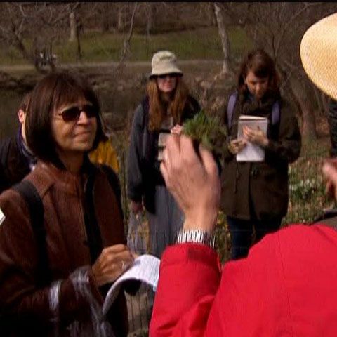 În Central Park din New York se predau lecţii de supravieţuire pe timp de criză