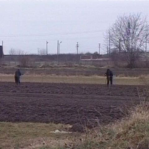 Agenţia de Plăţi şi Intervenţii în Agricultură le plăteşte fermierilor subvenţiile