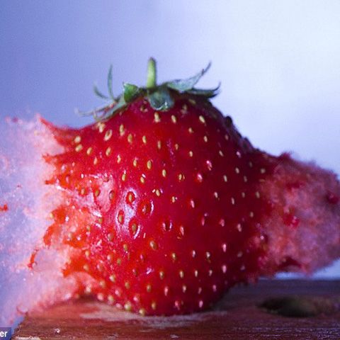 Fotografii extraordinare au surprins momentul în care un glonţ a străpuns o căpşună sau un balon cu vopsea