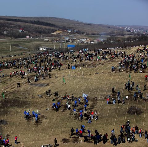 România prinde rădăcini a înregistrat un nou record la Iaşi: 6.500 de voluntari