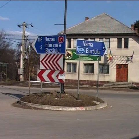La Vama Buzăului se află cea de-a patra rezervaţie de zimbri din ţară 