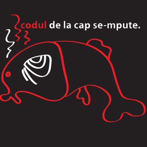 ONG-urile din România protestează faţă de modul de elaborare al codurilor legislative şi lansează campania "Opriţi Codurile"