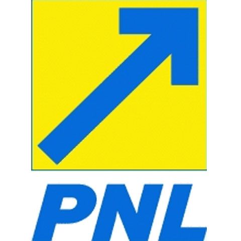 Gabriel Berca, PNL: Pe primele patru locuri avem doar femei şi poate fi de bun augur la europarlamentare