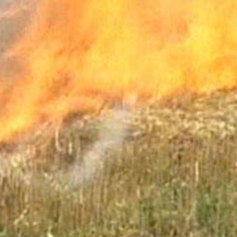 40 de hectare de păşune au ars în localitatea Caşin