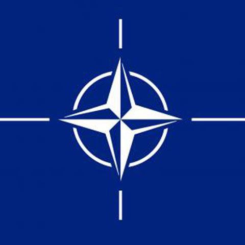 Parlamentarii au sărbătorit, marţi, cinci ani de la aderarea României la NATO 