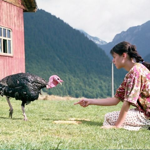 Miercuri a început Festivalul Internaţional de Film de Scurt şi Mediu Metraj NexT 