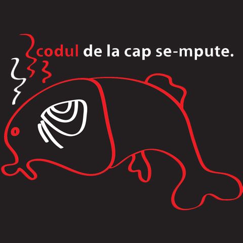 Ministrul Justiţiei, Cătălin Predoiu, va expune în şedinţa Guvernului de mâine propunerea ONG-urilor de scoatere a Codurilor din Parlament