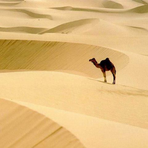 Răsturnări termice îngrijorătoare în Sahara: Temperaturile scad cu 21 de grade sub pragul de îngheţ