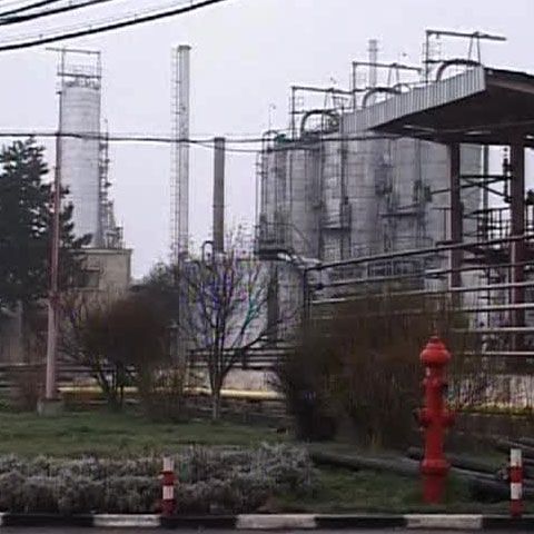 Rafinăria Steaua Română din Câmpina şi-a trimis în şomaj tehnic toţi angajaţii