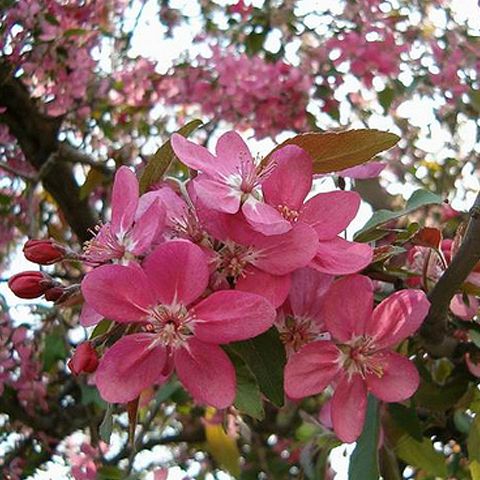 Meteorologii au anunţat căldură mare pentru finalul de săptămână