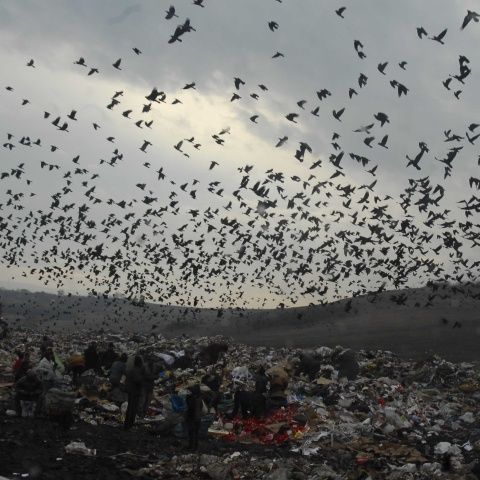 Tone de gunoaie au fost aruncate în albiile râurilor din judeţele Mureş şi Maramureş