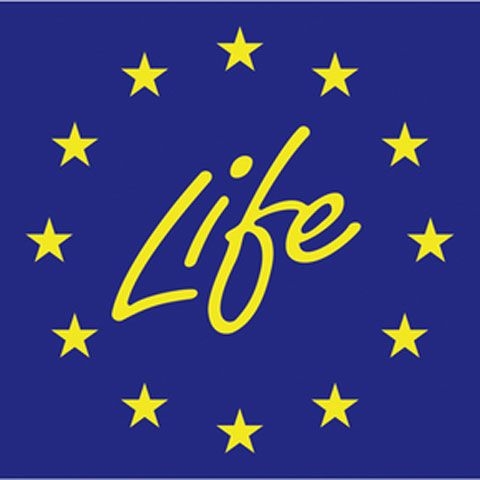 România are alocate în acest an 10,9 milioane euro pentru proiecte din programul european Life+